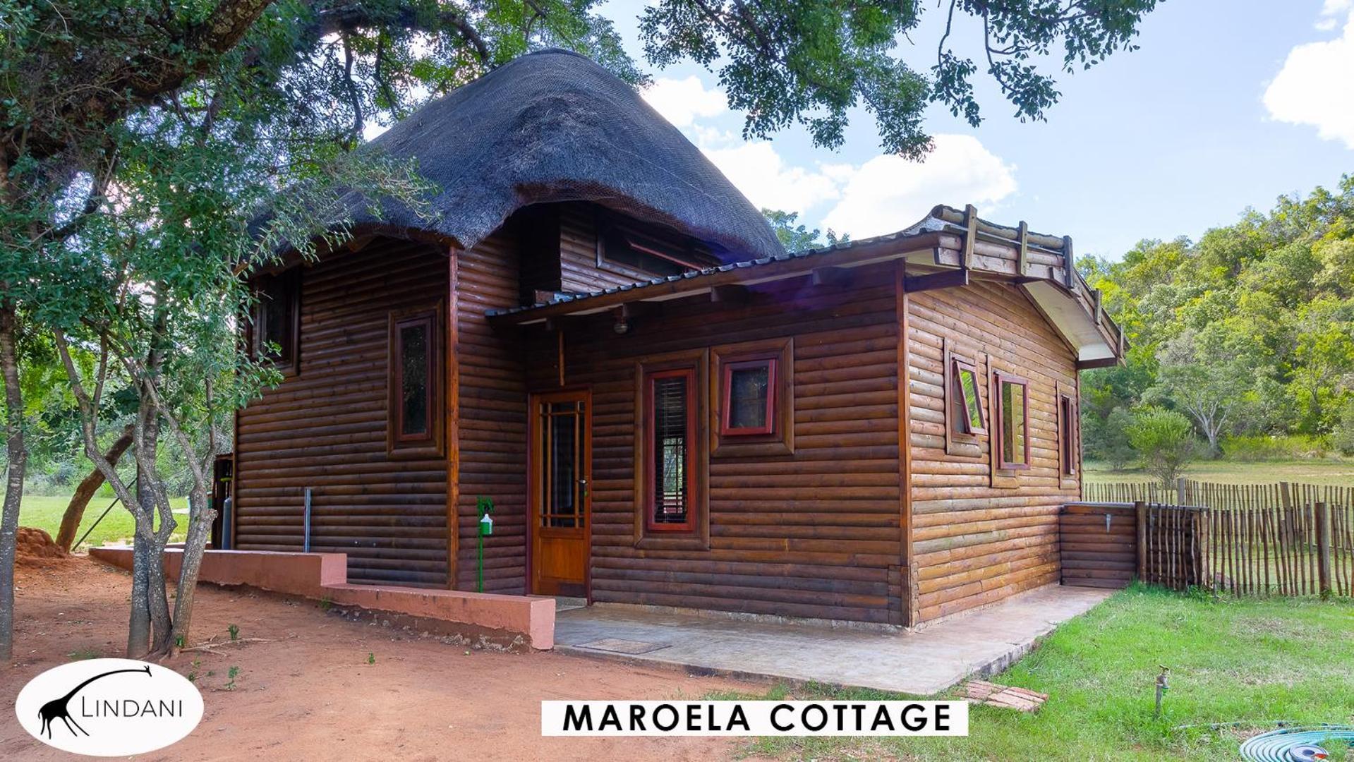 Lindani Game And Lodges Vaalwater Exteriör bild
